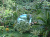 The pool