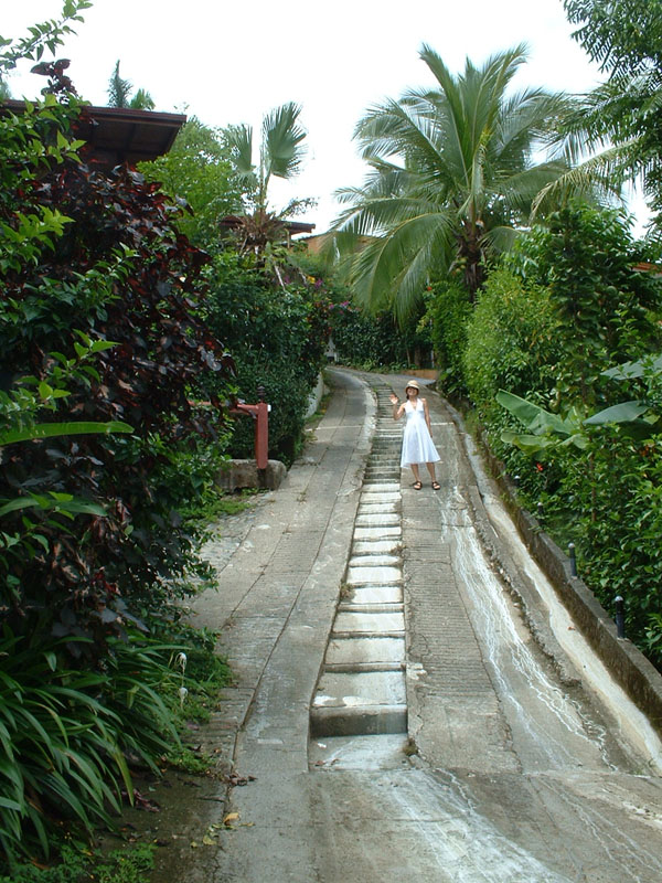 Our very steep driveway