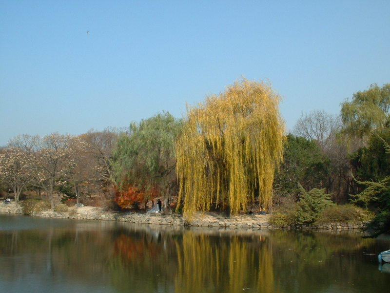 DSCF0017
