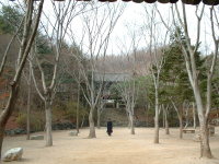 Leading up to the village temple.