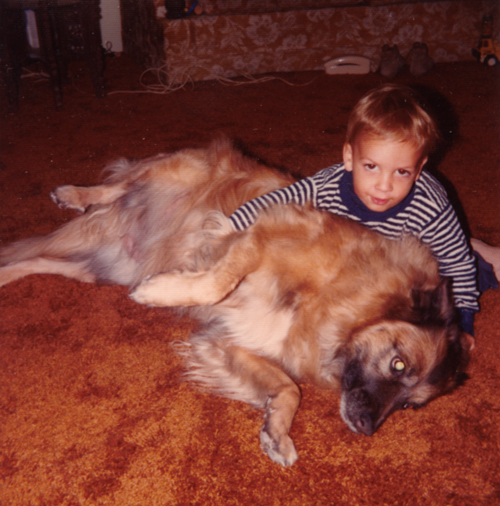 nb-dog