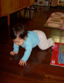 _01-15-2008-crawling